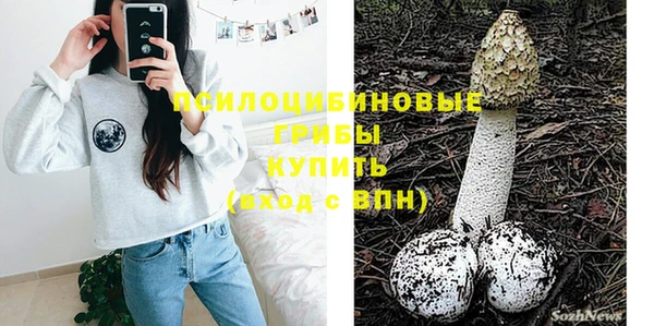 гашиш Дмитров