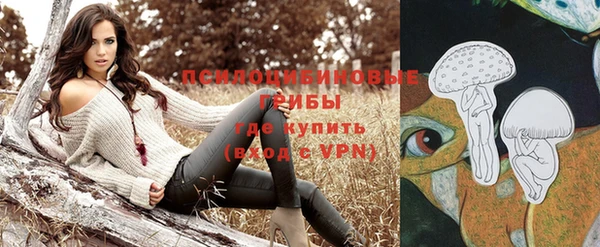 бутират Гусь-Хрустальный